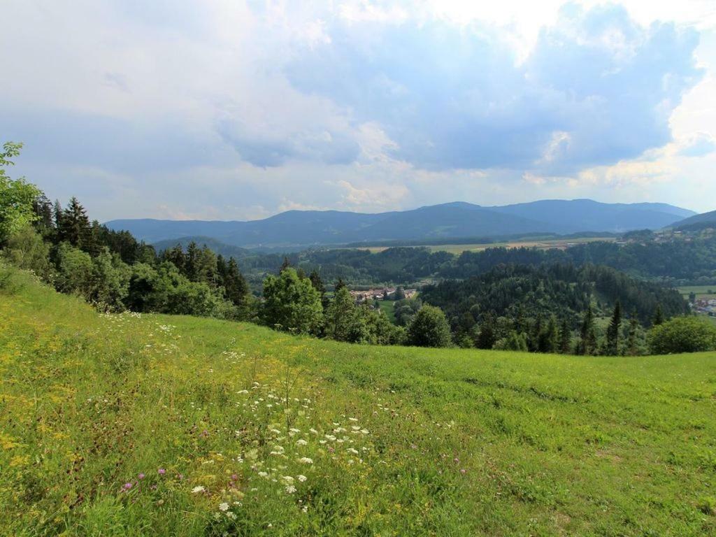 Fewo Ploesch Vlg. Maierhofer Apartment Lavamund Bagian luar foto